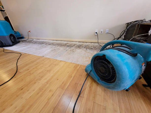 Professional Water Damage Repair technician working in Angelus Oaks, CA
